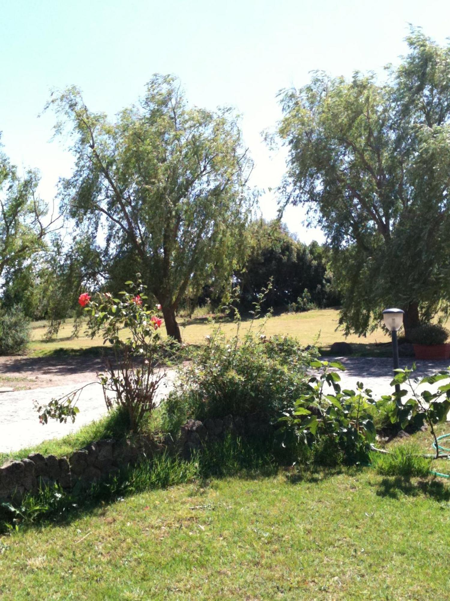 איגלסיאס Agriturismo Il Paradiso מראה חיצוני תמונה
