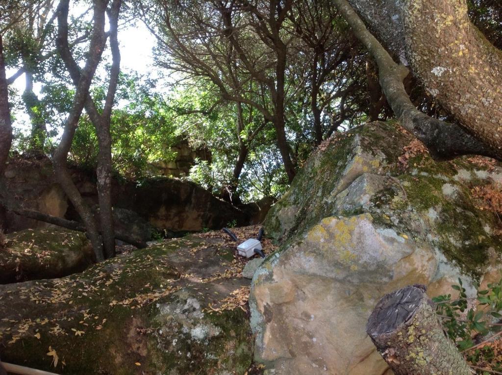 איגלסיאס Agriturismo Il Paradiso מראה חיצוני תמונה
