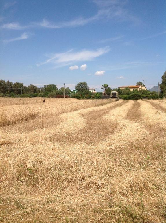 איגלסיאס Agriturismo Il Paradiso מראה חיצוני תמונה
