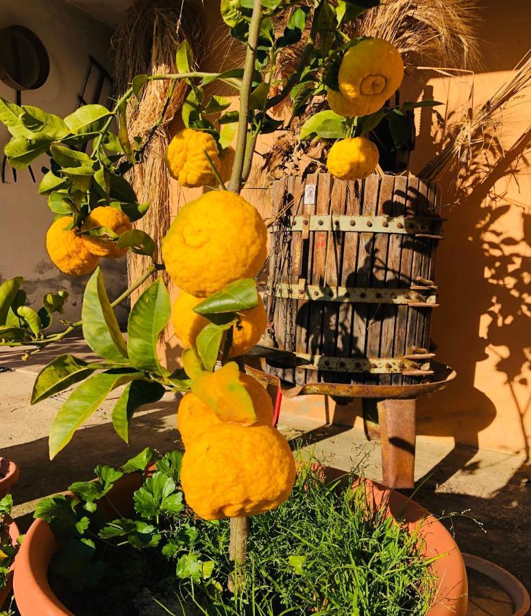 איגלסיאס Agriturismo Il Paradiso מראה חיצוני תמונה